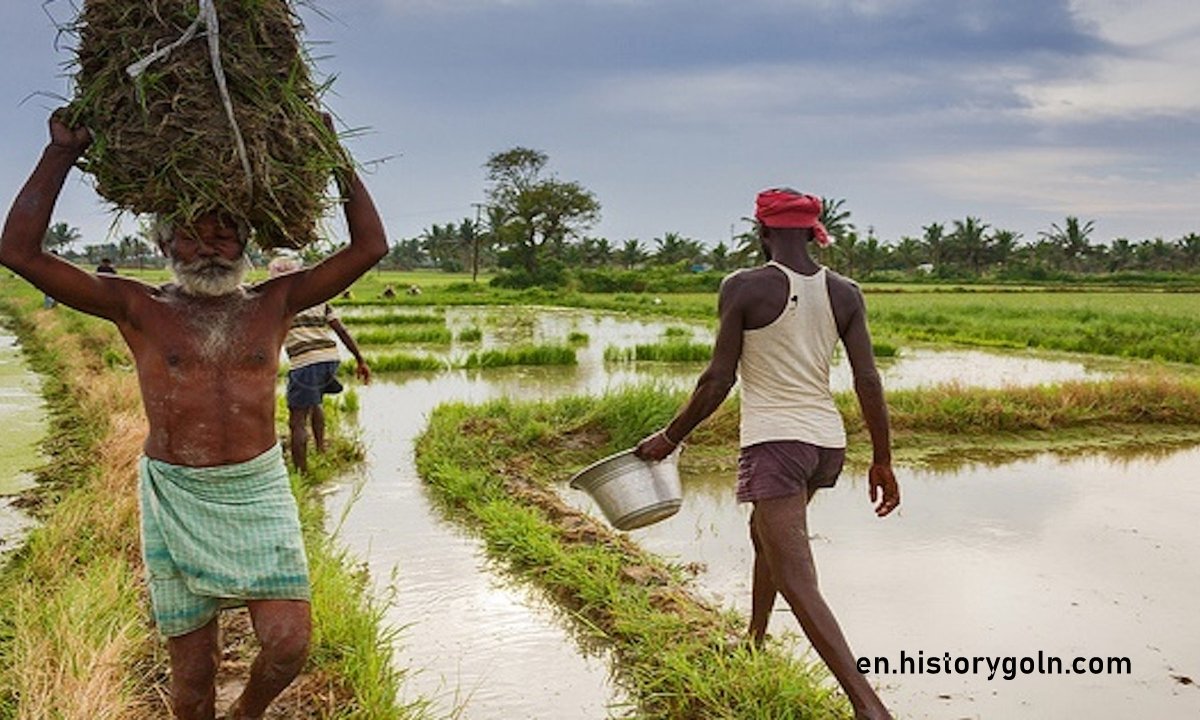 Rural Indebtedness In Bengal : 1935 – 1947 Contents
