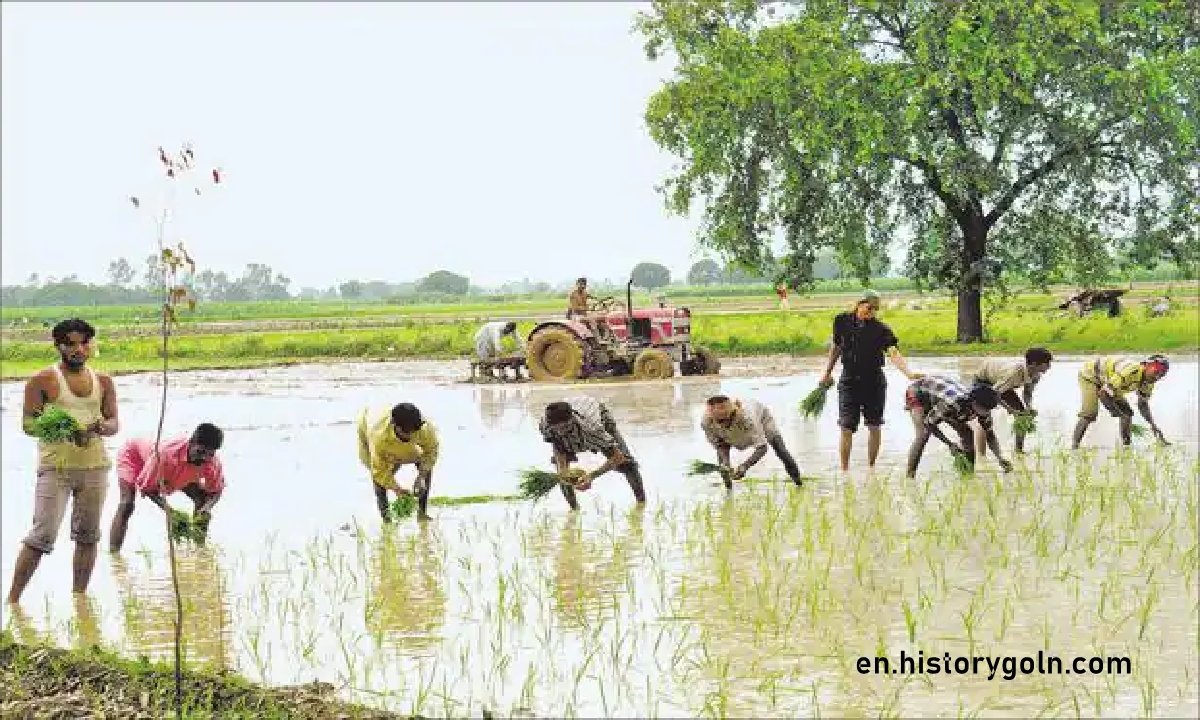 The Legislative Protection to Peasantry
